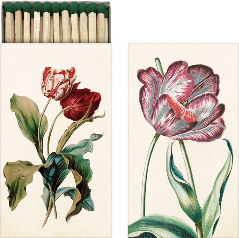 Matches - Tulip
