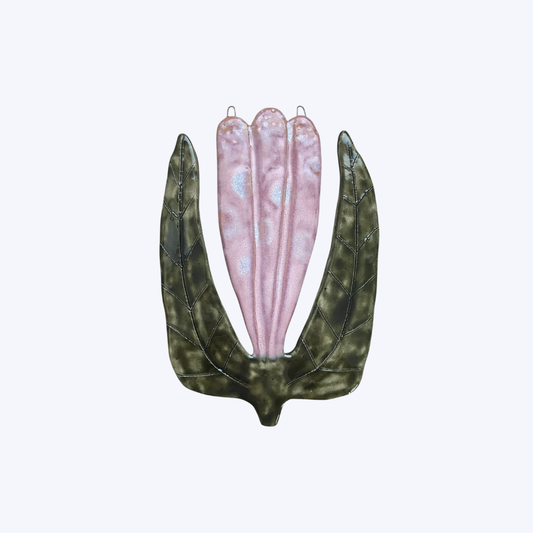 Tulppaani- Rosa